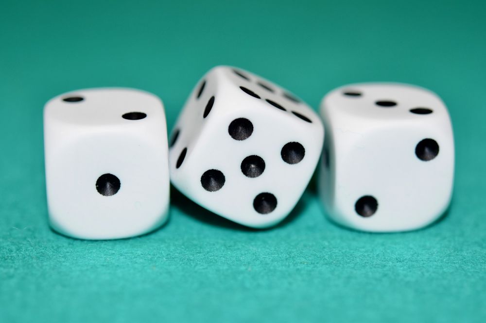 Bingo eller banko: En dybdegående guide til spændingen i casinoverdenen